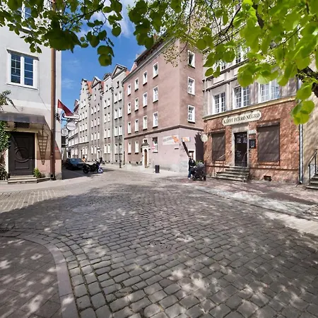 Kawalerka Na Ogarnej Krr